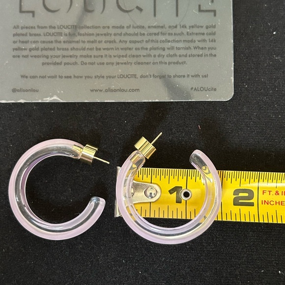 LOUCITE ALISON LOU Jelly Hoops Earrings
Brand New, Limited Edition - Picture 5 of 5